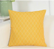 Load image into Gallery viewer, Calisto Cushion
